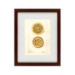 фото Картина Watercolor Collection, Drawing №5 (42х52 см)
