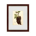 фото Картина Watercolor Collection, Drawing №77 (42х52 см)