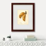 фото Картина Watercolor Collection, Drawing №78 (42х52 см)