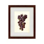 фото Картина Watercolor Collection, Drawing №2 (42х52 см)