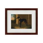 фото Картина Portrait Of A Greyhound Called Pompon (42х52 см)
