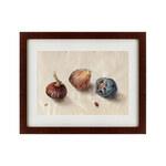 фото Картина Branch Of Pomegranate With Lanternfly And Cicada (42х52 см)