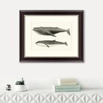 фото Картина Humpback Whale (42х52 см)