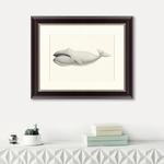 фото Картина Bowhead Whale (42х52 см)