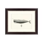 фото Картина Sperm Whale (42х52 см)