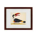 фото Картина White-Throated Toucan (42х52 см)
