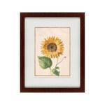 фото Картина Watercolor Over Pencil Etude №3 (42х52 см)