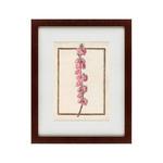 фото Картина Watercolor Over Pencil Etude №4 (42х52 см)