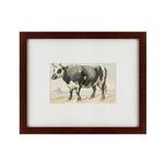 фото Картина A Friesian Bull (42х52 см)