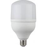 фото Светодиодная лампа эра led smd power 30w-6500-e27 б0027004