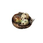 фото Садовая фигура Kaeming Набор декор гнездо с яйцами 3шт. Д8см (832210)