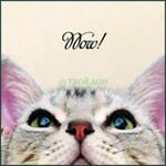 фото Подушка Noname Подушка киска wow 30х30 (319-429)