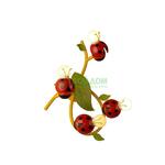 фото Люстра потолочная LuceSolara Bambini 1009 4PL Colorful (1009/4PLColorful)