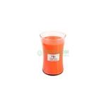 фото Свеча WoodWick Мечты 10x17см большая (93499)