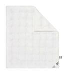 фото Одеяло Goldtex Silk (1106)