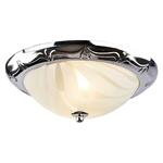 фото Потолочный светильник Arte Lamp 28 A3008PL-2CC