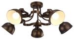 фото Потолочная люстра Arte Lamp Martin A5216PL-5BR