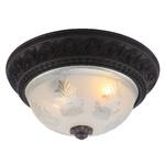 фото Светильник потолочный Arte Lamp A8006PL-2CK