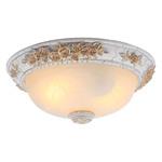 фото Светильник потолочный Arte Lamp A7101PL-2WG