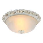 фото Светильник потолочный Arte Lamp A7151PL-2WG
