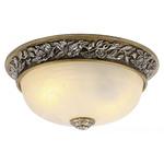 фото Светильник потолочный Arte Lamp A7141PL-2SB