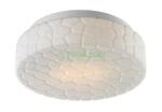 фото Потолочный светильник Artelamp Aqua A5330PL-2WH