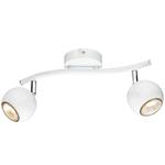 фото Светильник потолочный Artelamp A6251PL-2WH