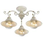 фото Потолочная люстра Arte Lamp 7 A4577PL-3WG