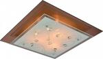 фото Потолочный светильник Arte Lamp A4042PL-3CC