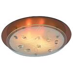 фото Потолочный светильник Arte Lamp A4043PL-3CC