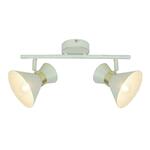 фото Спот Arte Lamp Baltimore A1406AP-2WG
