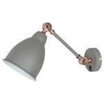фото Спот Arte Lamp Braccio A2054AP-1GY