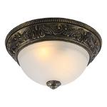 фото Потолочный светильник Arte Lamp Piatti A8010PL-2AB