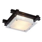 фото Потолочный светильник Arte Lamp 94 A6462PL-2CK
