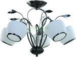 фото Люстра потолочная IDLamp 825/5PF Darkchrome (825/5PF-DARKCHROME)