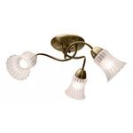 фото Светильник потолочный IDLamp 245/3PF-OLDBRONZE