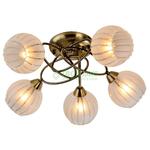 фото Люстра потолочная IDLamp 230/5PF-Oldbronze