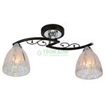 фото Потолочный светильник IDLamp 232/2PF-Blackchrome