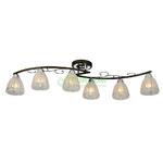 фото Потолочный светильник IDLamp 232/6PF-Blackchrome