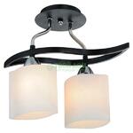 фото Люстра потолочная IDLamp 859 2PF-Dark