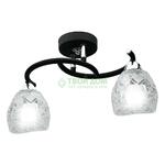 фото Потолочный светильник IDLamp 381/2PF-Blackchrome