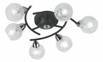 фото Светильник потолочный IDLamp 382/6PF-Blackchrome