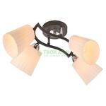 фото Потолочный светильник IDLamp 212/4PF-Blackchrome