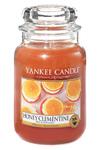 фото Ароматическая свеча Yankee candle большая Мед и клементин 623 г