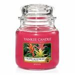 фото Ароматическая свеча Yankee candle средняя Тропические джунгли 411 г