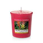 фото Аромасвеча для подсвечника Yankee candle Тропические джунгли 49 г