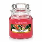 фото Ароматическая свеча Yankee candle маленькая Тропические джунгли 104 г