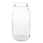 фото Ваза Hakbijl glass oval 42.5см