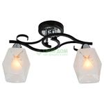 фото Потолочный светильник IDLamp 233/2PF-Blackchrome