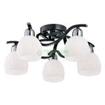 фото Потолочный светильник IDLamp 389/5PF-Blackchrome